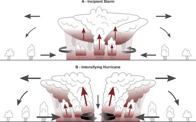 The cloud greenhouse effect 