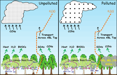 Polluted air path